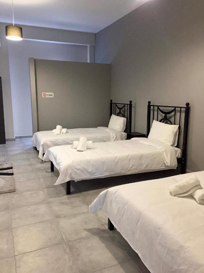 Meteora House- Cozy Living Apartment Kalambaka Bagian luar foto